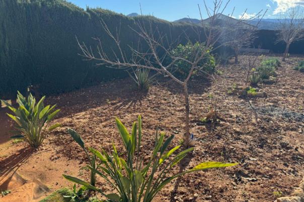 2 bed finca in Ondara