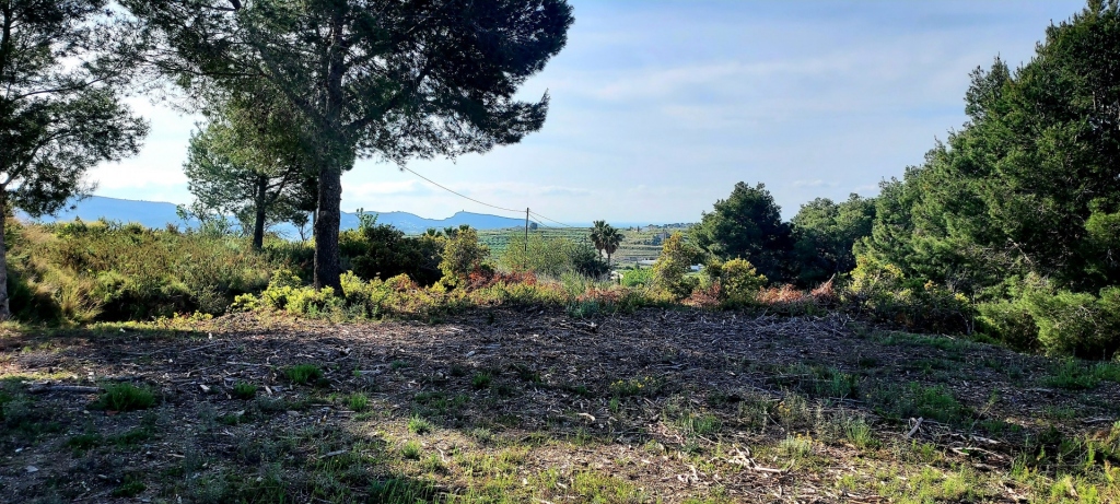 plot in Teulada