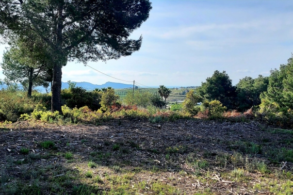 plot in Teulada