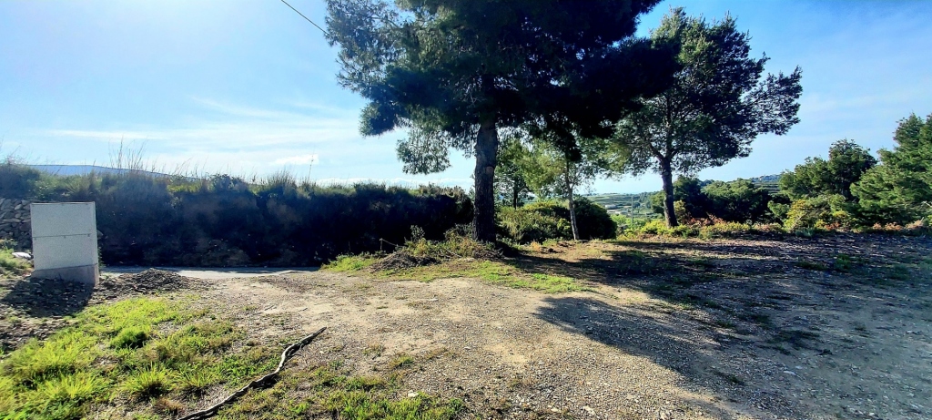 plot in Teulada