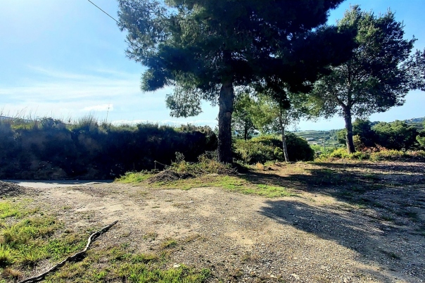 plot in Teulada
