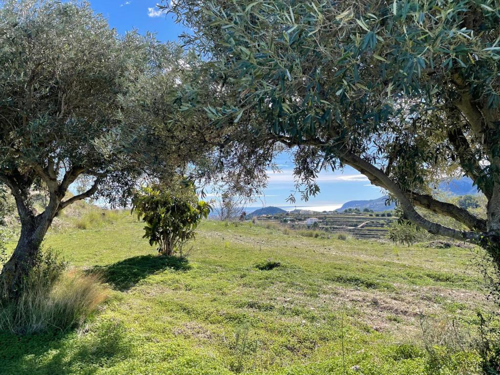 3 bed country houses - fincas in Benissa