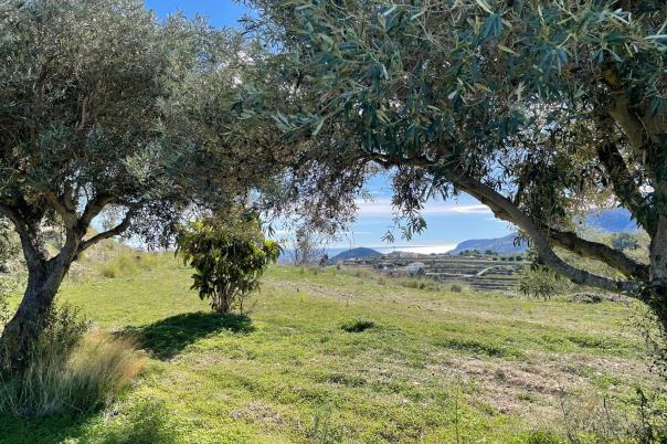 3 bed country houses - fincas in Benissa