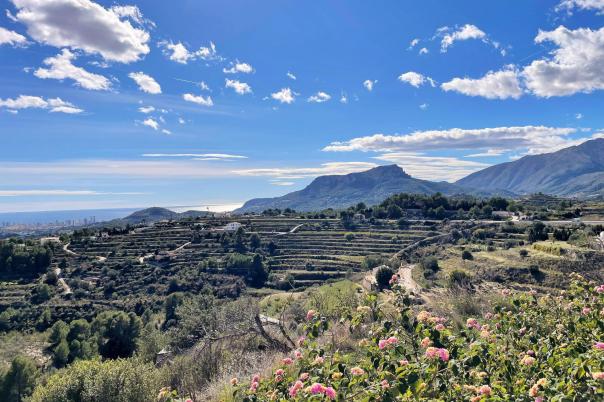 3 bed country houses - fincas in Benissa