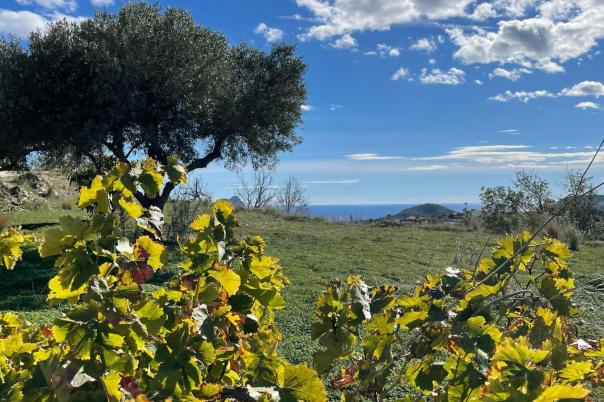 3 bed country houses - fincas in Benissa