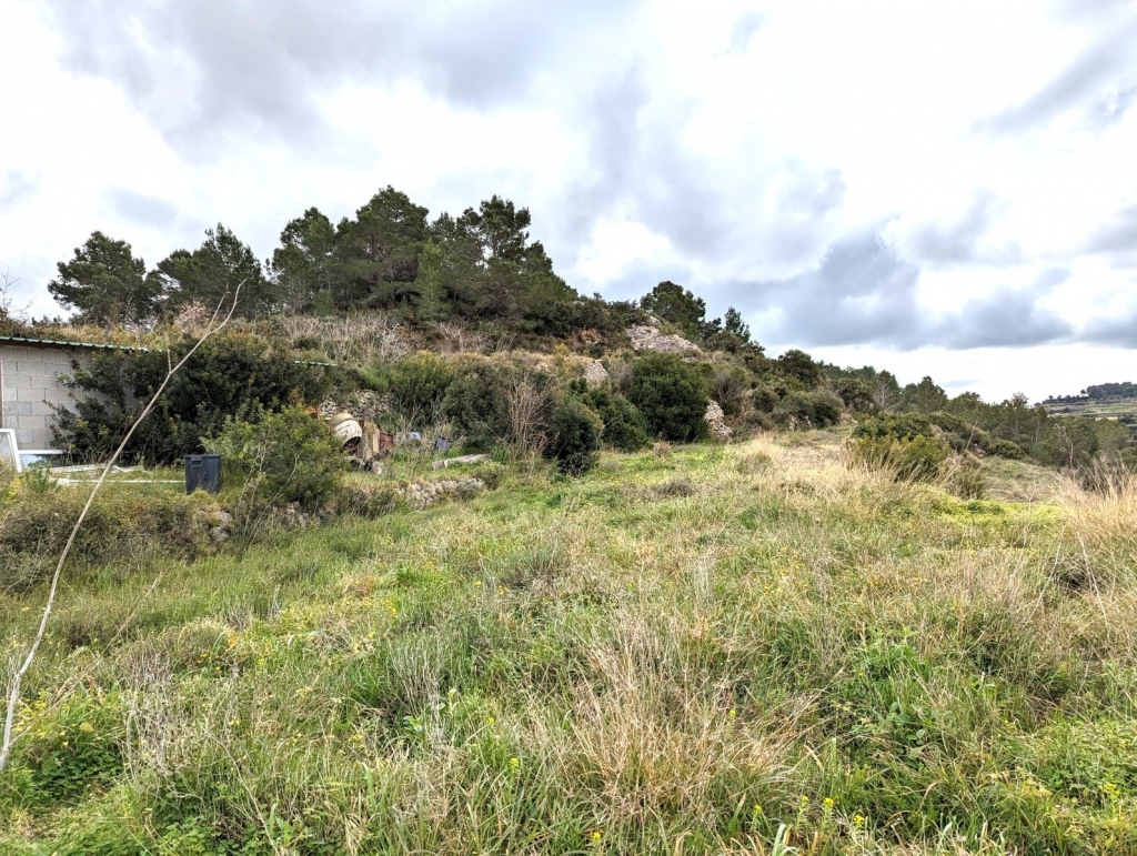 plot in Benissa