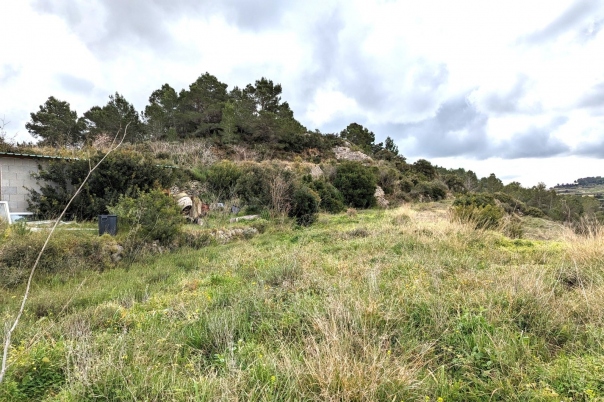 plot in Benissa