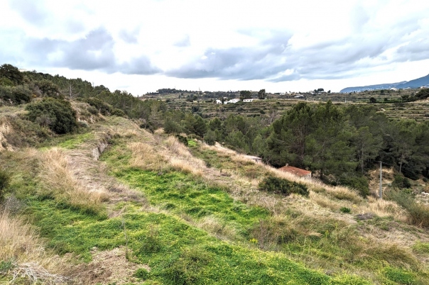 plot in Benissa