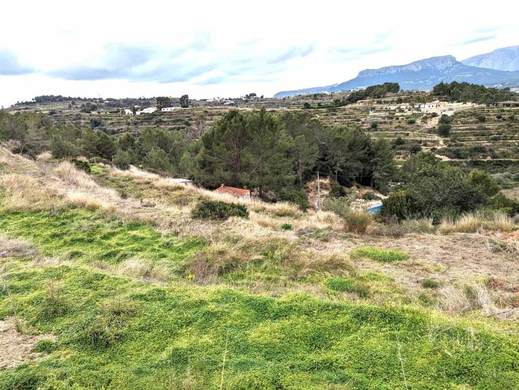 plot in Benissa