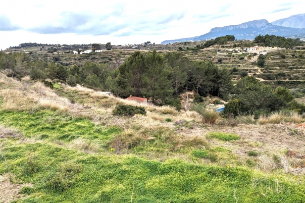 plot in Benissa