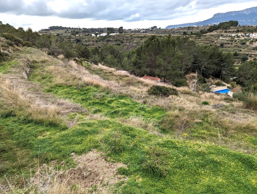 plot in Benissa