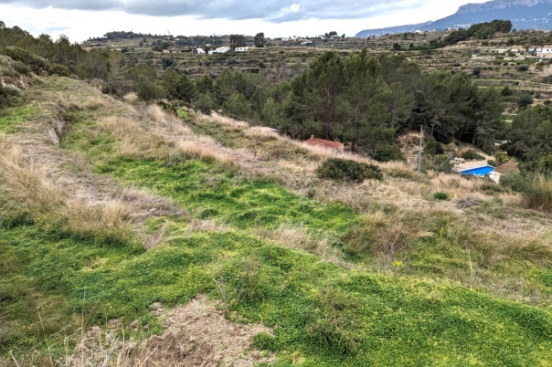 plot in Benissa