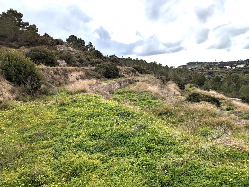 plot in Benissa