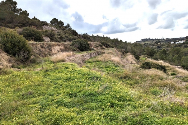 plot in Benissa