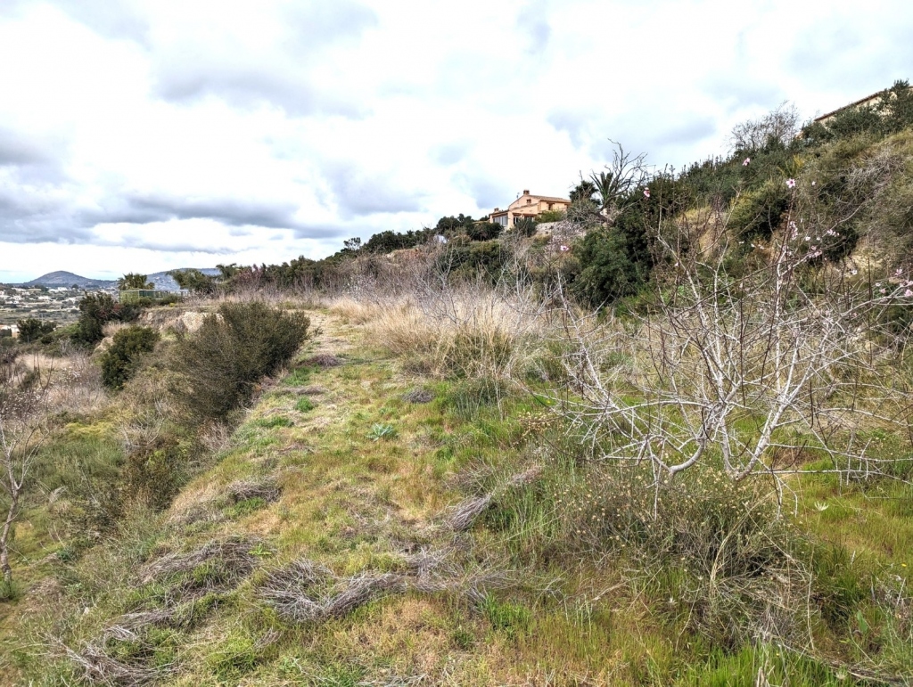 plot in Benissa
