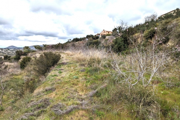 plot in Benissa