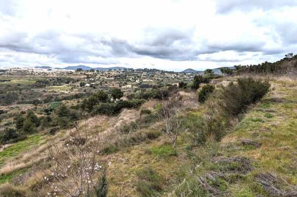 plot in Benissa