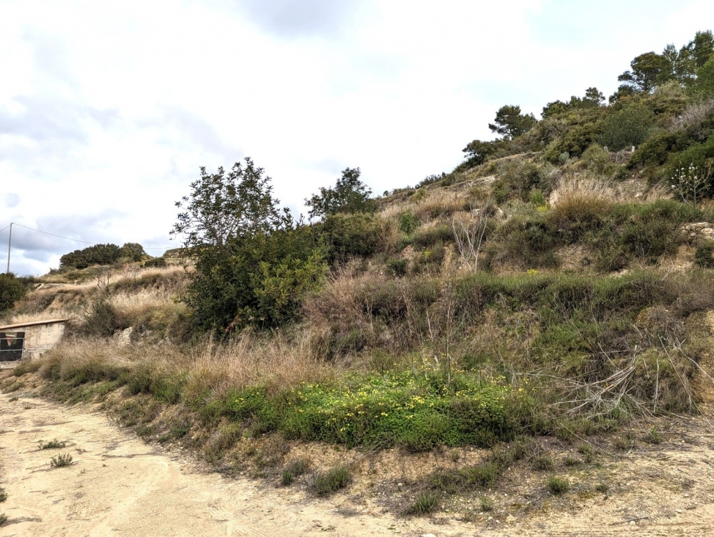 plot in Benissa