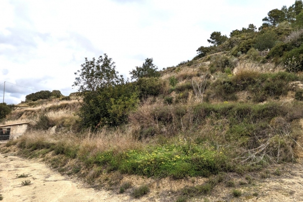 plot in Benissa