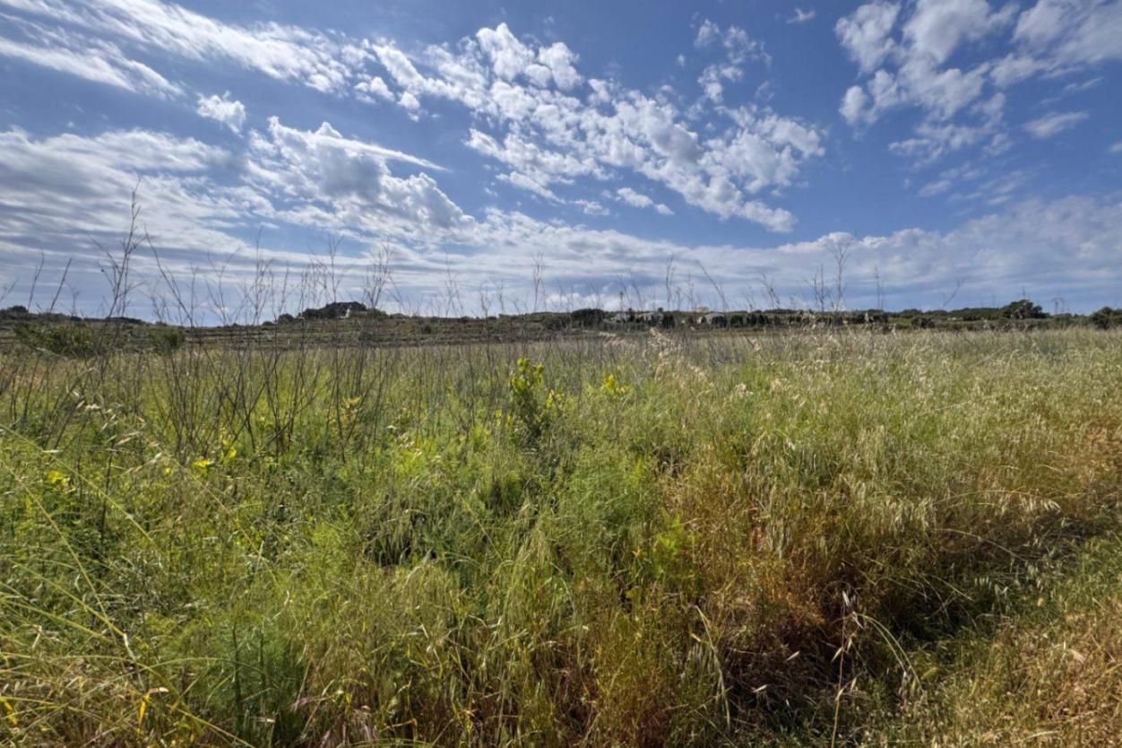 plot in Benissa