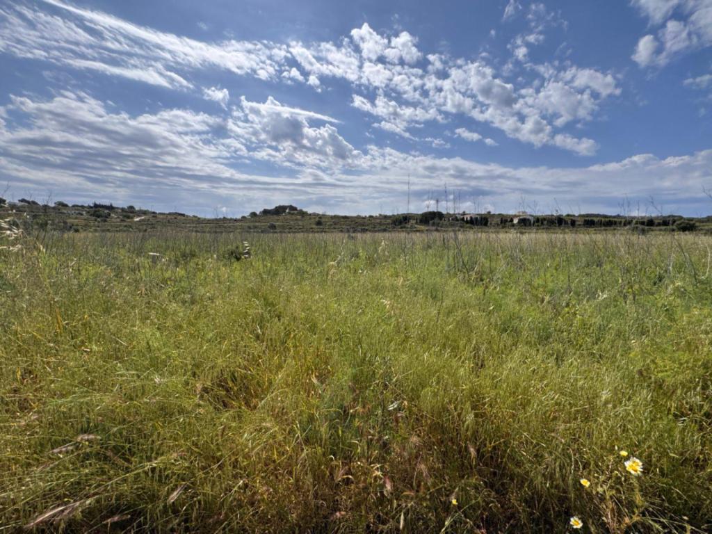 plot in Benissa