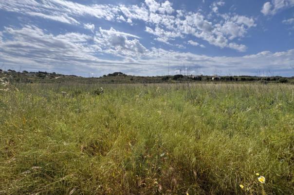 plot in Benissa