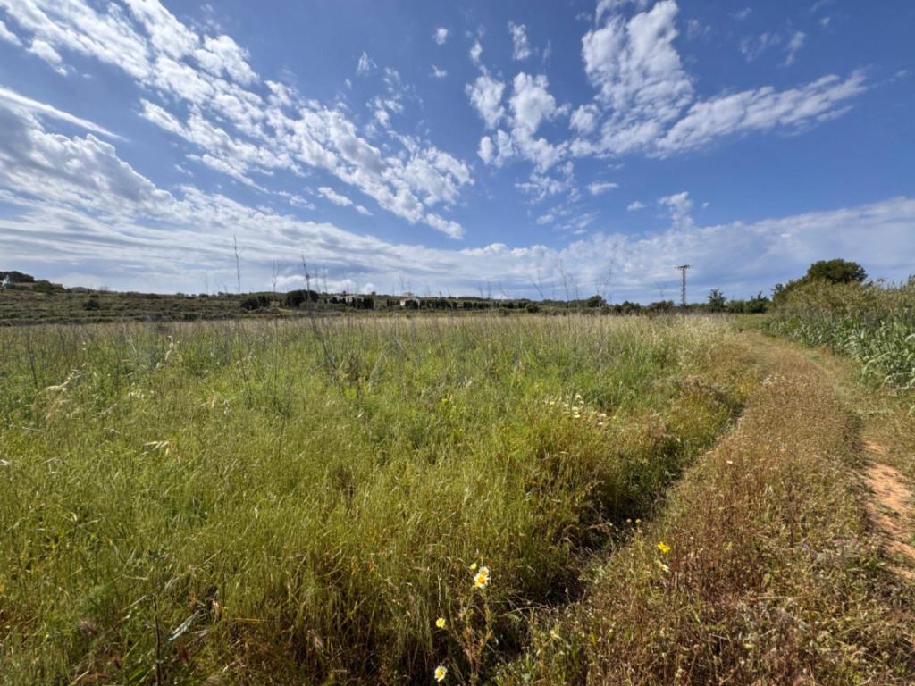 plot in Benissa