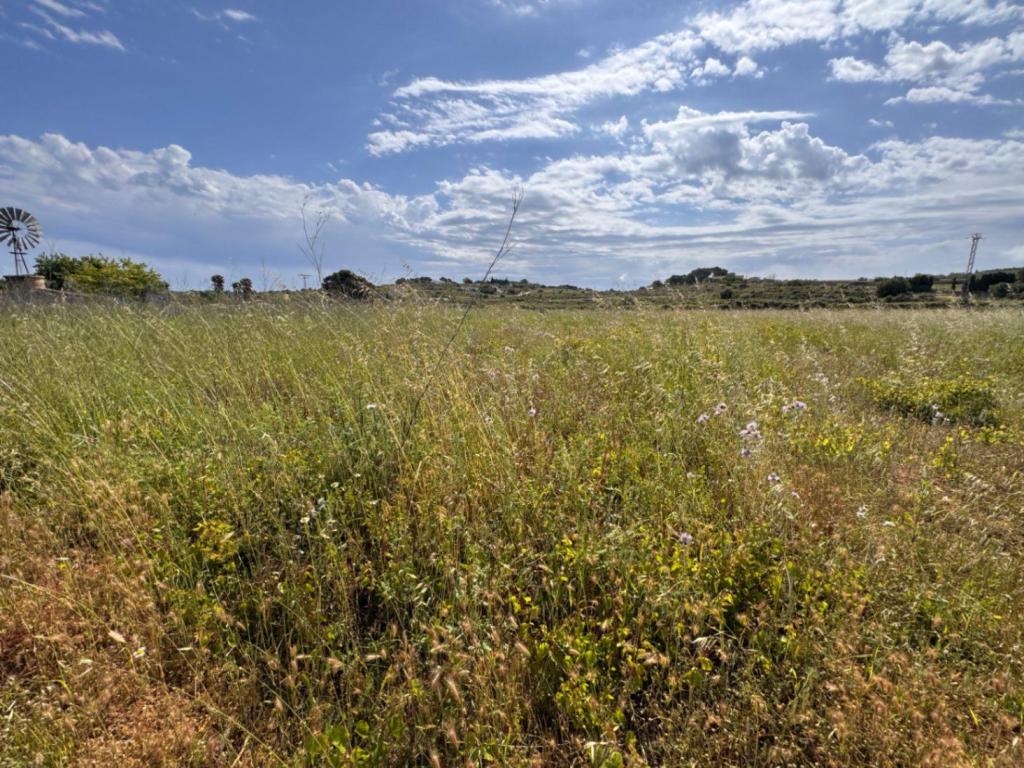 plot in Benissa