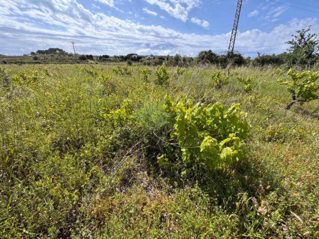 plot in Benissa