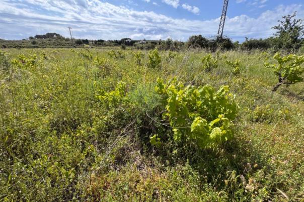 plot in Benissa
