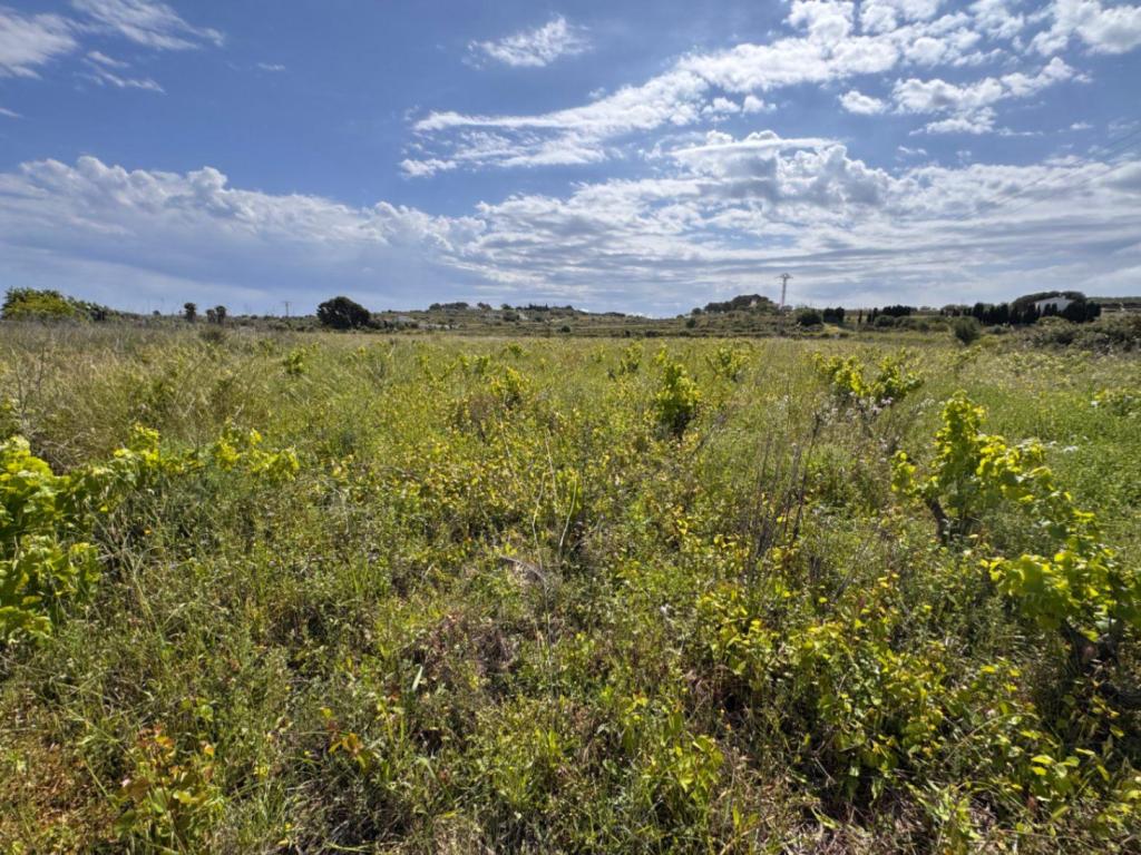 plot in Benissa