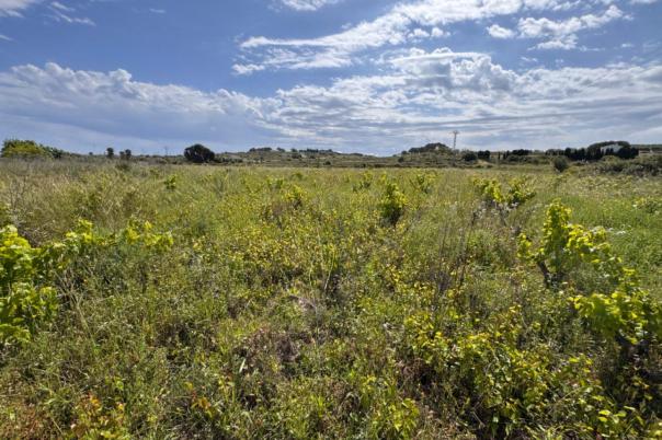 plot in Benissa