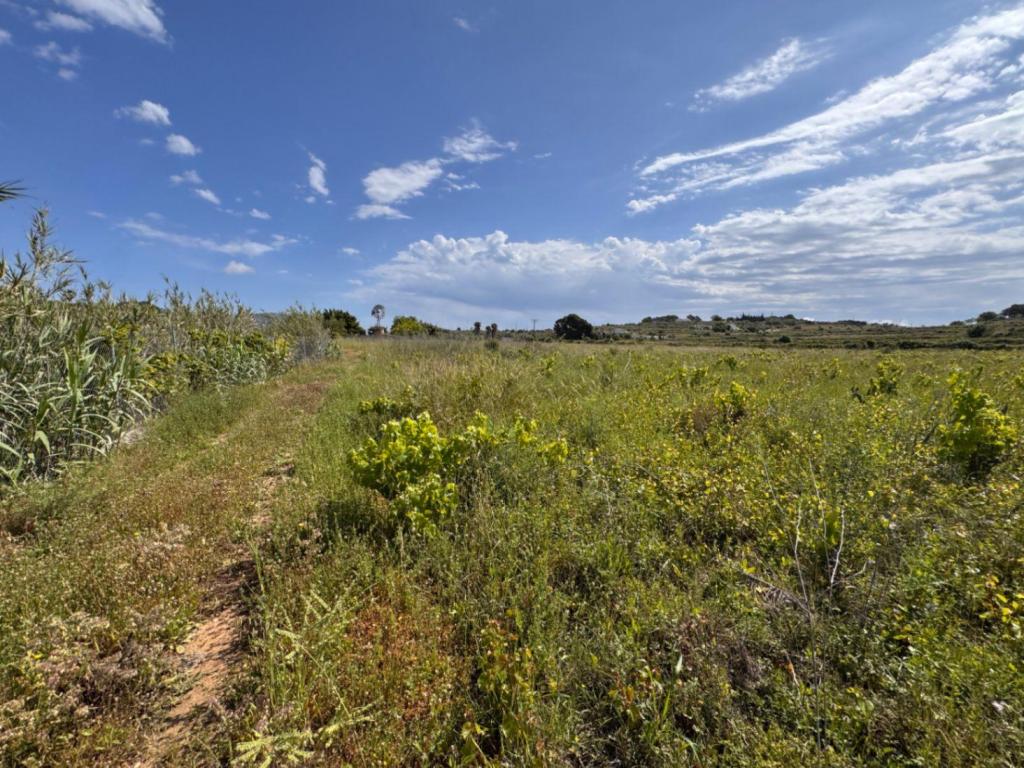 plot in Benissa