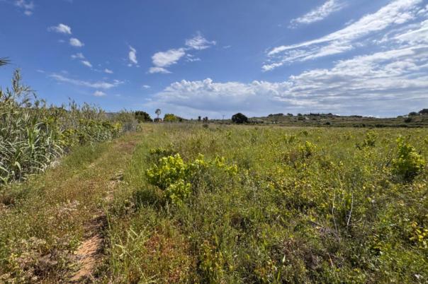 plot in Benissa