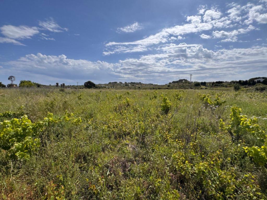 plot in Benissa