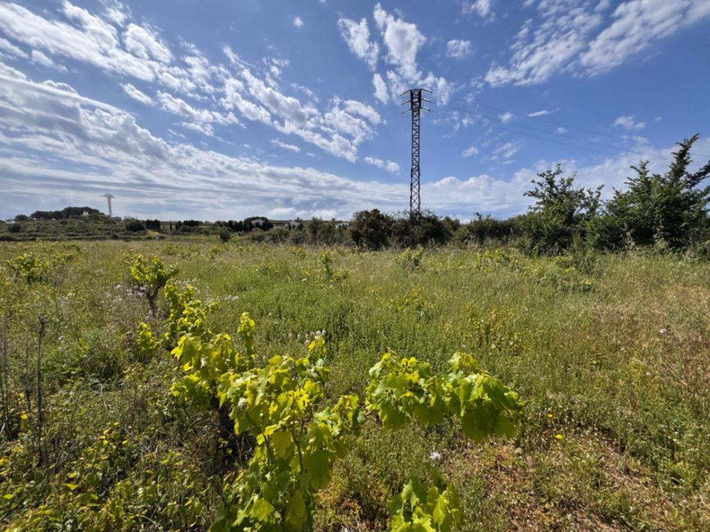 plot in Benissa