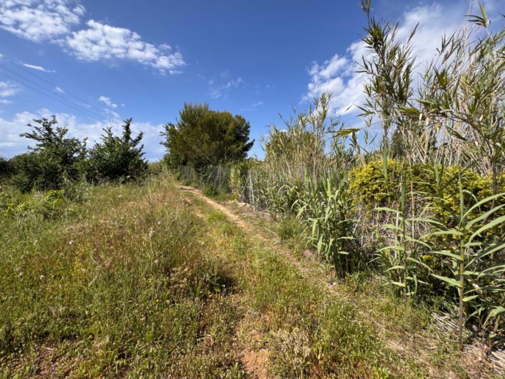 plot in Benissa