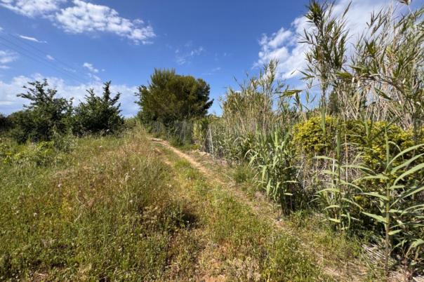 plot in Benissa