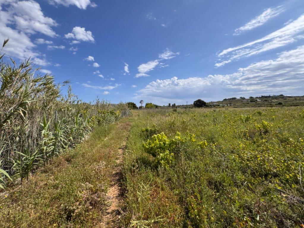 plot in Benissa