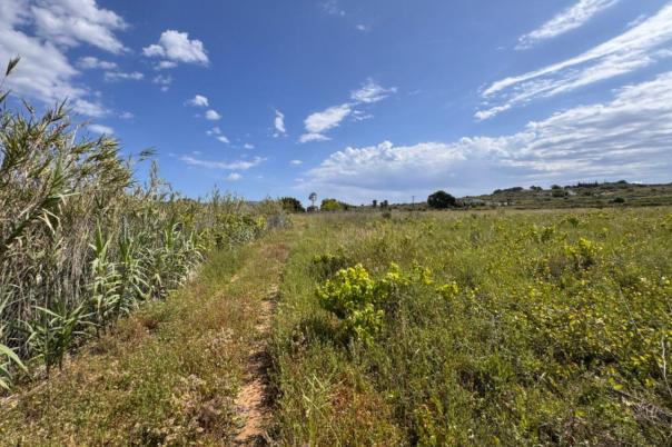 plot in Benissa