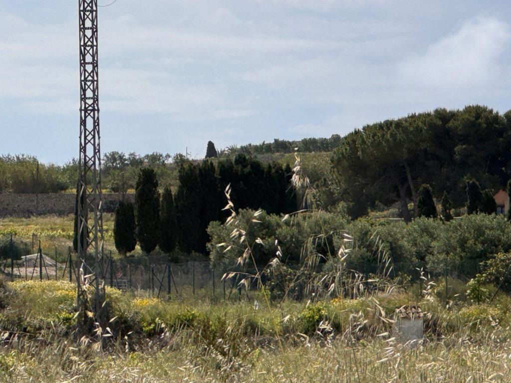 plot in Benissa