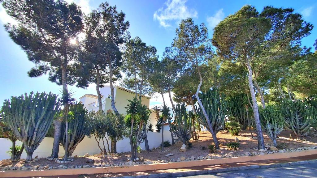 4 bed semi-detached in Santa Pola