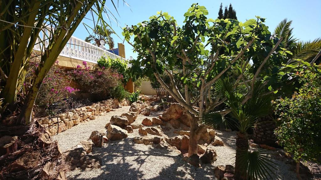 5 bed villa in Benitachell/Poble Nou de Benitatxell (el)