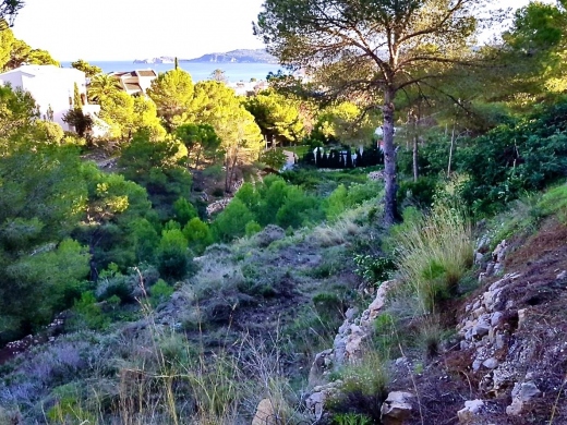 plot in Jávea