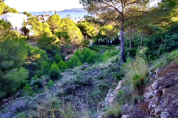 plot in Jávea