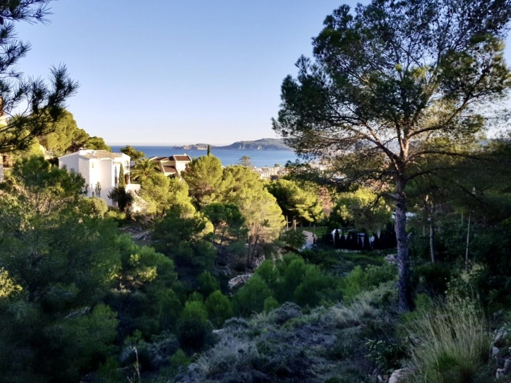 plot in Jávea
