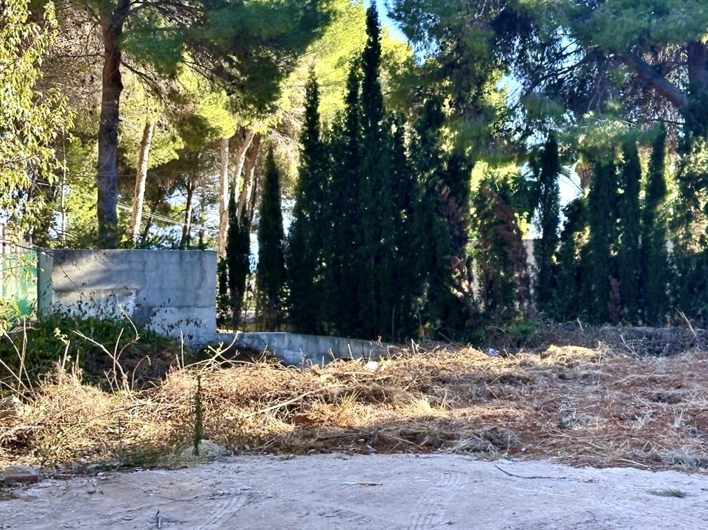plot in Jávea