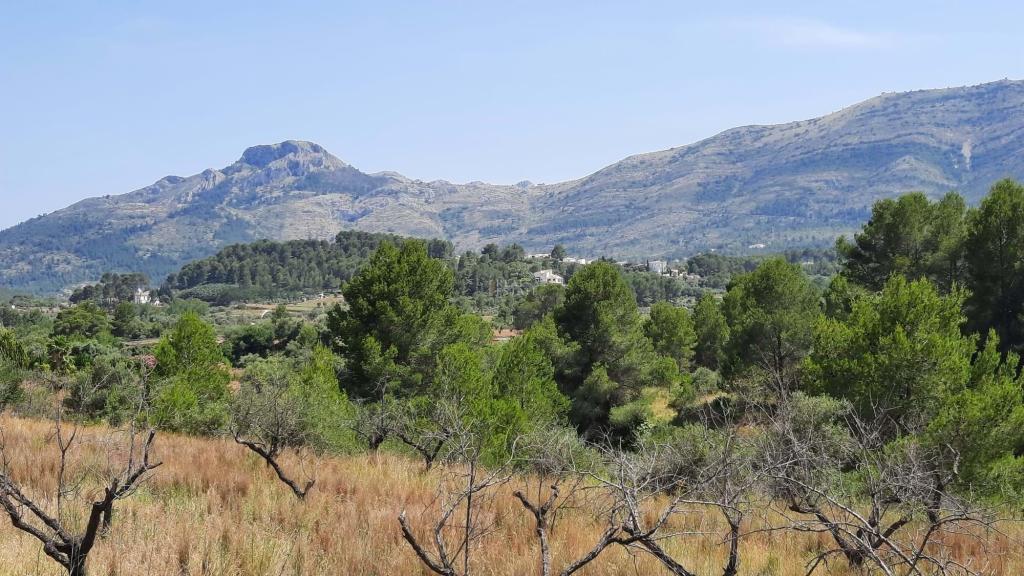 3 bed villa in Murla