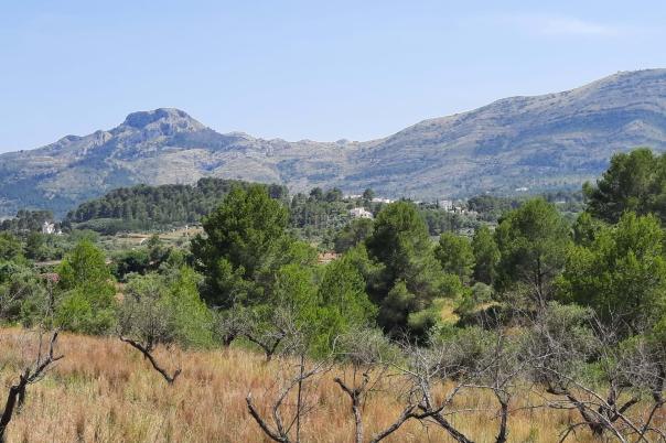 3 bed villa in Murla