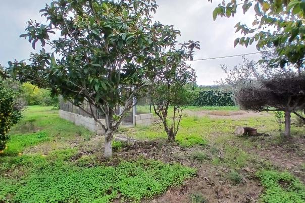 4 bed villa in Jávea/Xàbia